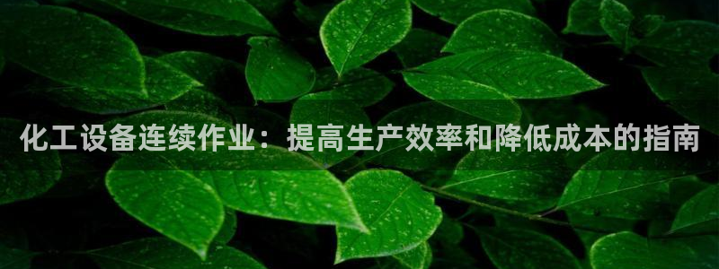 新城平台登录入口官网查询网址