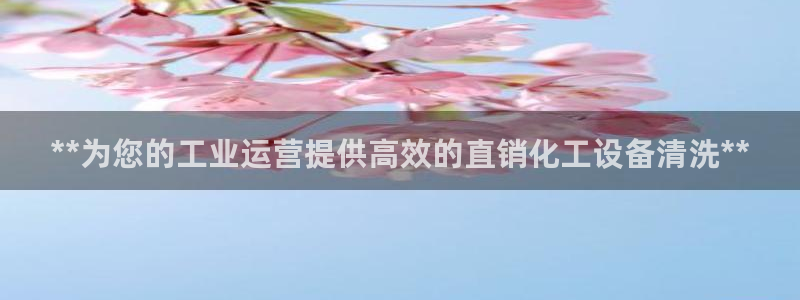 新城平台企业信息查询